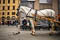 Pigeon leading carriage horse through Piazzala del Duomo.