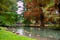 Tourists feeding ducks by the pond.